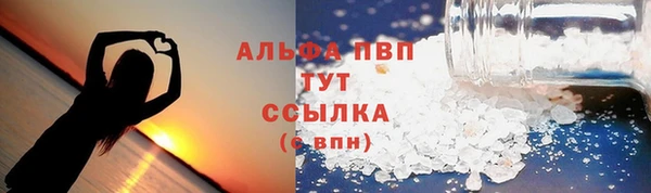 PSILOCYBIN Верея