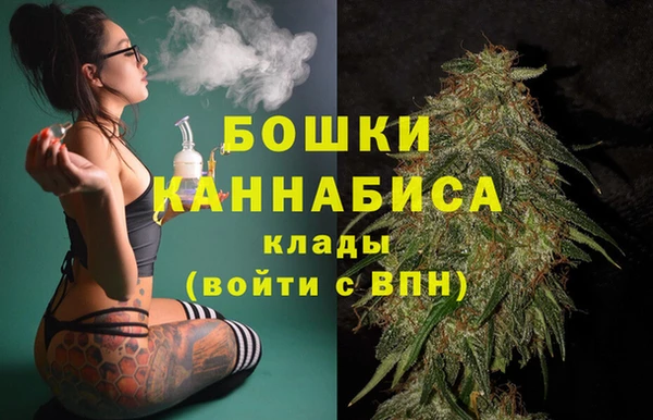 стаф Бородино