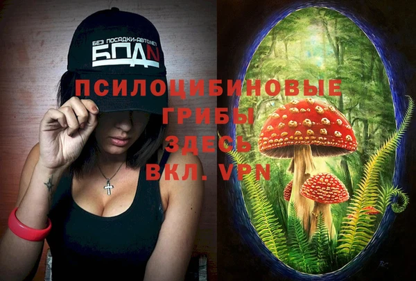 PSILOCYBIN Верея